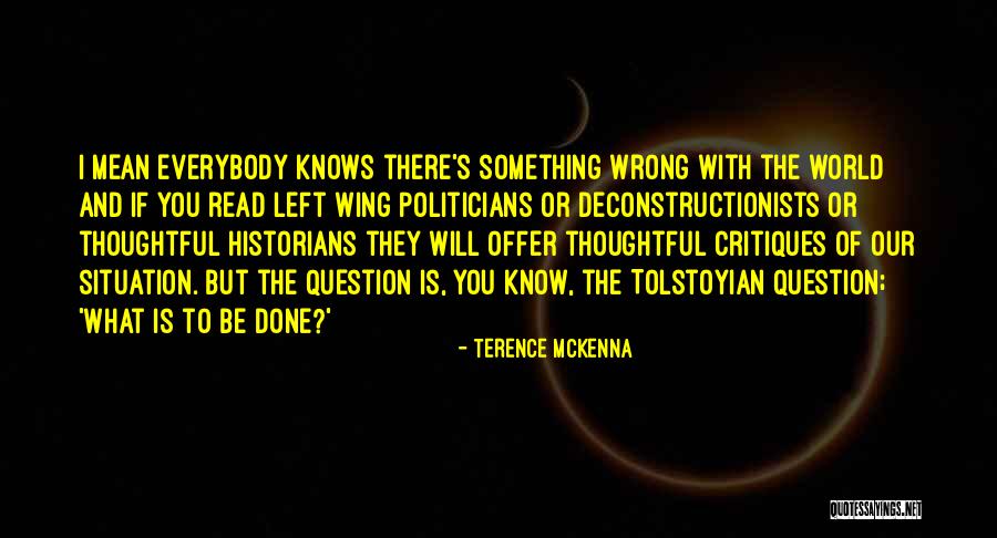 Nothing Left To Offer Quotes By Terence McKenna