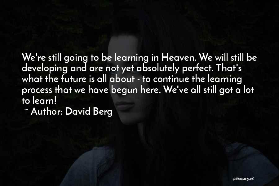 Nothing Less Than Perfect Quotes By David Berg