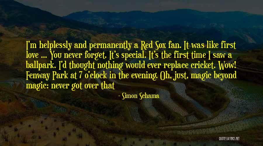 Nothing Like Love Quotes By Simon Schama