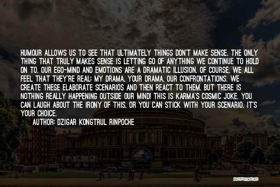 Nothing Make Sense Quotes By Dzigar Kongtrul Rinpoche