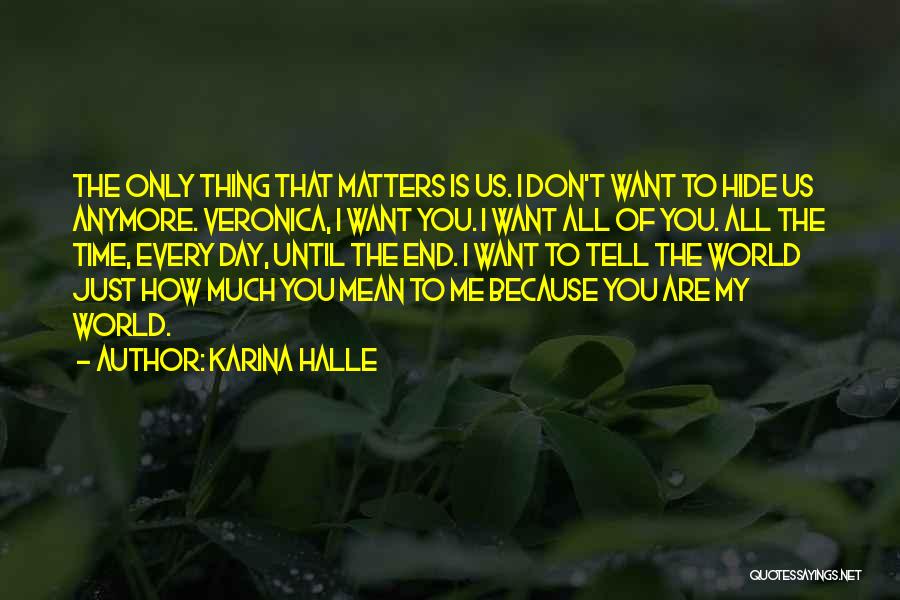 Nothing Matters Anymore Quotes By Karina Halle