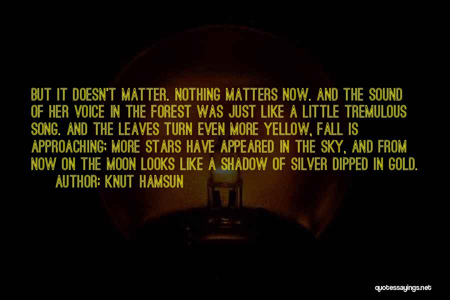 Nothing Matters Now Quotes By Knut Hamsun