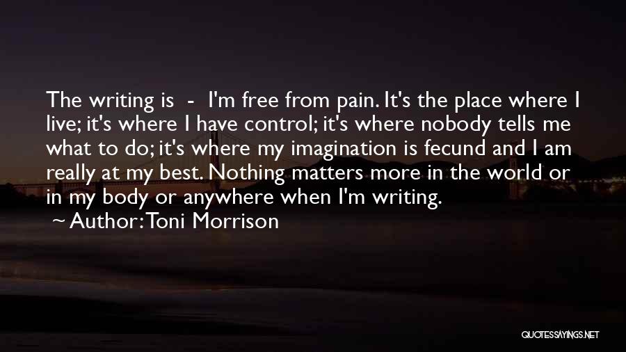 Nothing Matters Quotes By Toni Morrison