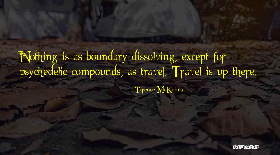 Nothing Nothing Quotes By Terence McKenna Nothing Nothing Quotes By Terence McKenna