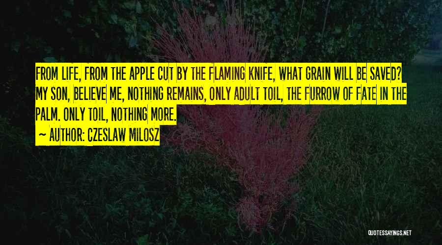 Nothing Remains Quotes By Czeslaw Milosz