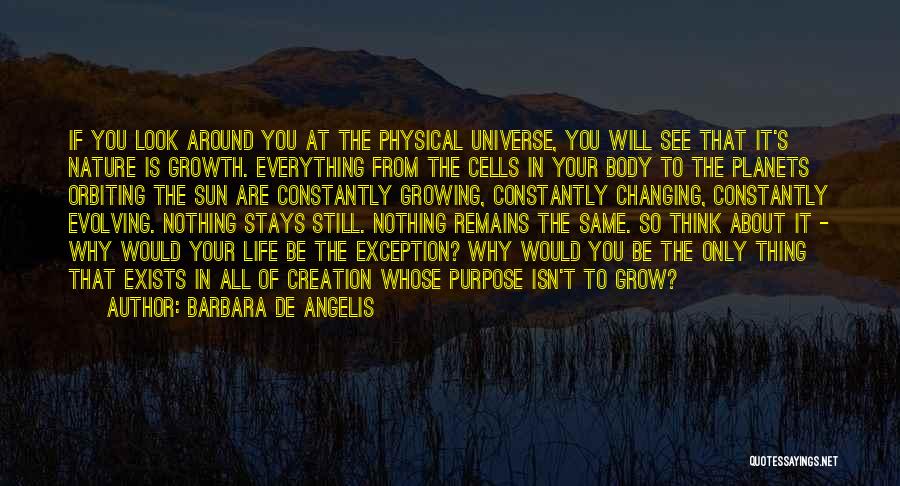 Nothing Remains Same Quotes By Barbara De Angelis
