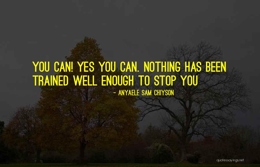 Nothing Stop You Quotes By Anyaele Sam Chiyson