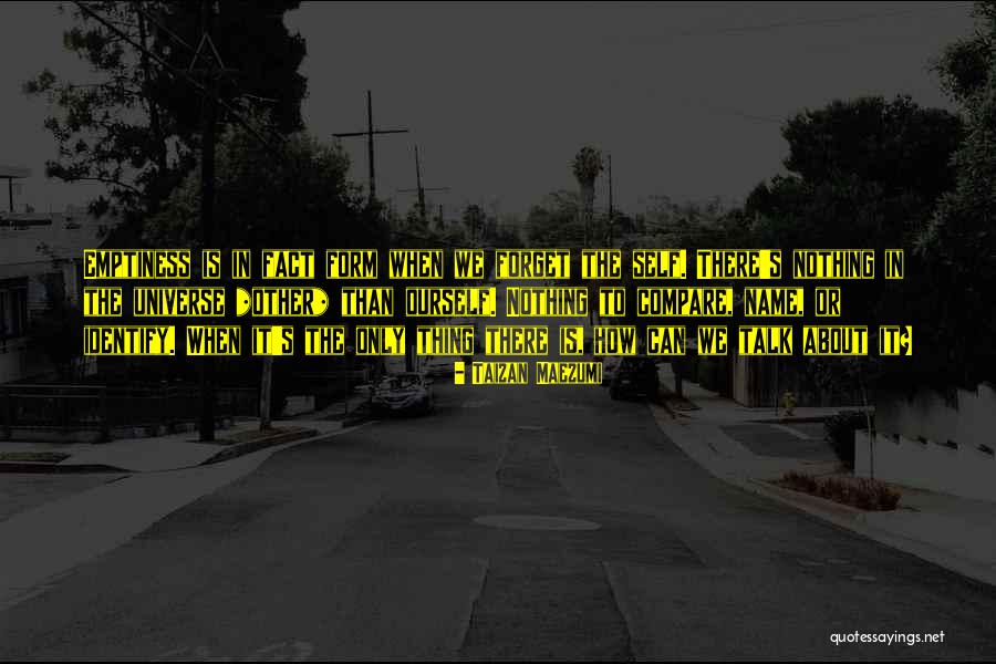 Nothing To Talk About Quotes By Taizan Maezumi Nothing To Talk About Quotes By Taizan Maezumi