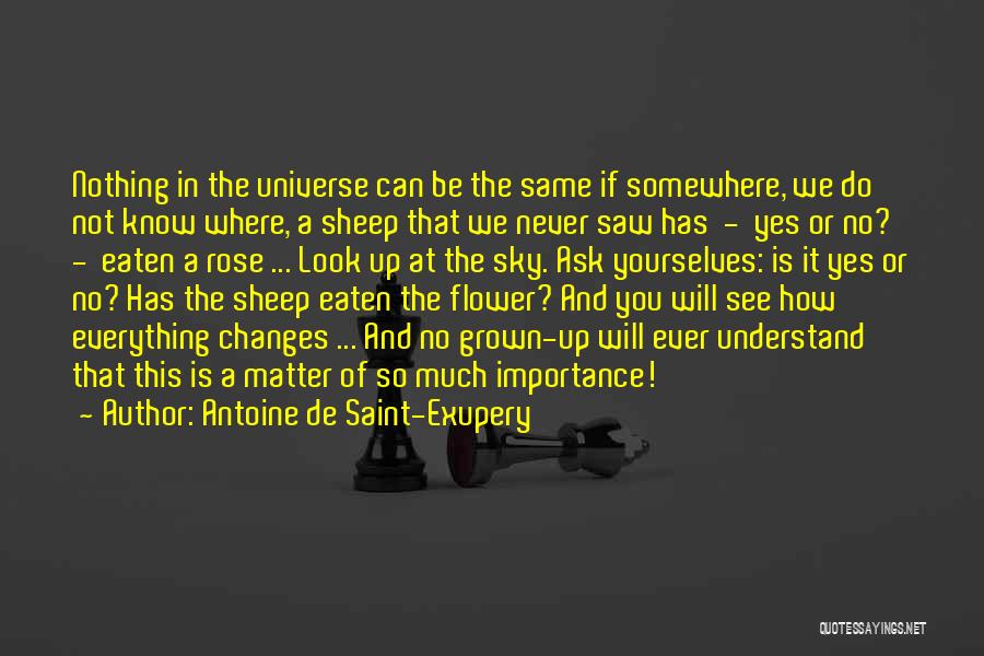Nothing Will Never Be The Same Quotes By Antoine De Saint-Exupery