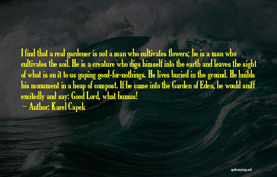 Nothings Quotes By Karel Capek