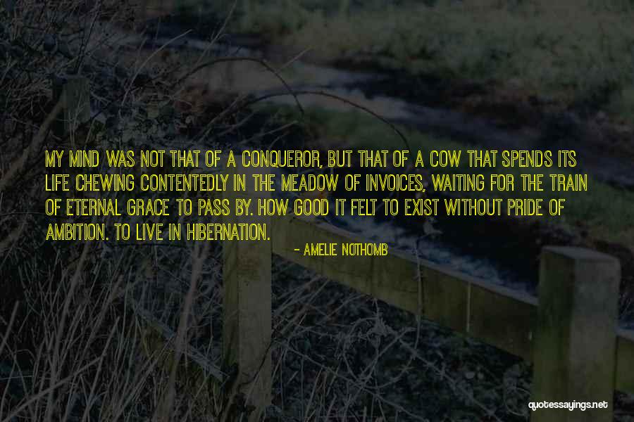 Nothomb Amelie Quotes By Amelie Nothomb Nothomb Amelie Quotes By Amelie Nothomb