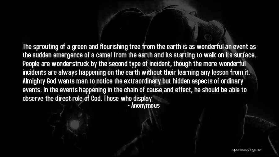 Notice And Wonder Quotes By Anonymous Notice And Wonder Quotes By Anonymous