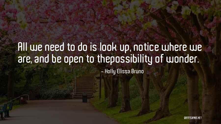 Notice And Wonder Quotes By Holly Elissa Bruno Notice And Wonder Quotes By Holly Elissa Bruno