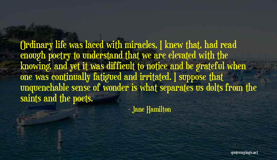 Notice And Wonder Quotes By Jane Hamilton Notice And Wonder Quotes By Jane Hamilton