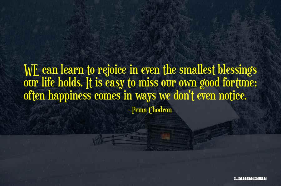 Notice Your Blessings Quotes By Pema Chodron Notice Your Blessings Quotes By Pema Chodron