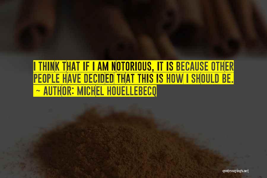 Notorious Quotes By Michel Houellebecq