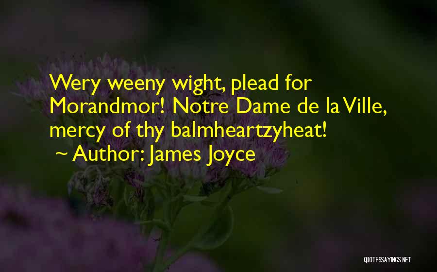 Notre Dame Quotes By James Joyce