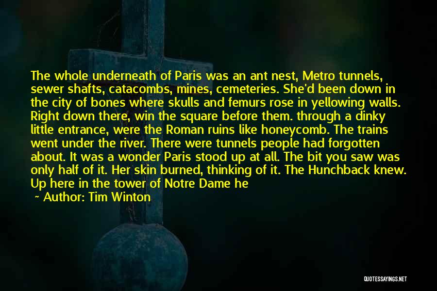 Notre Dame Quotes By Tim Winton