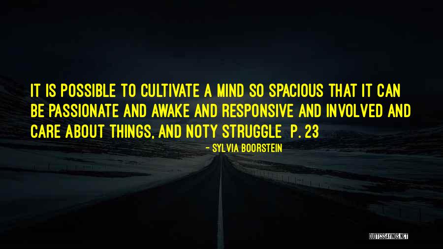 Noty Quotes By Sylvia Boorstein Noty Quotes By Sylvia Boorstein