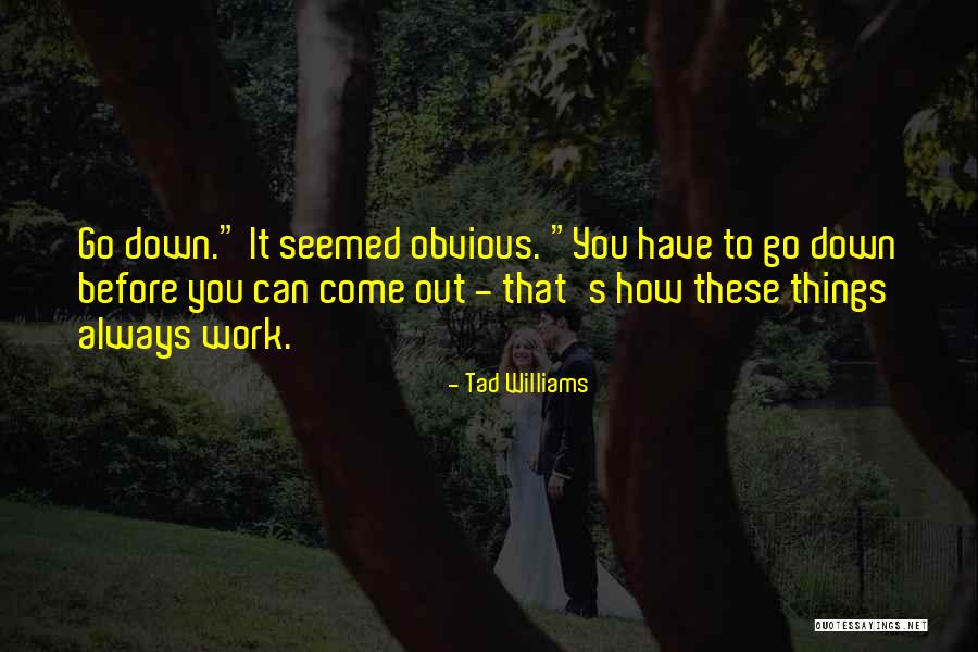 Noughty American Quotes By Tad Williams Noughty American Quotes By Tad Williams