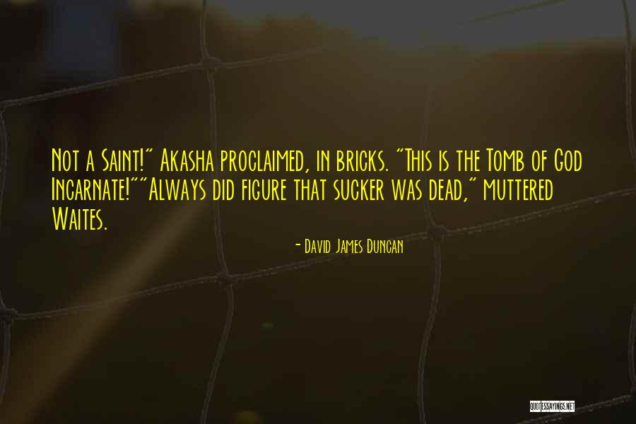 Noughty Sparkling Quotes By David James Duncan Noughty Sparkling Quotes By David James Duncan