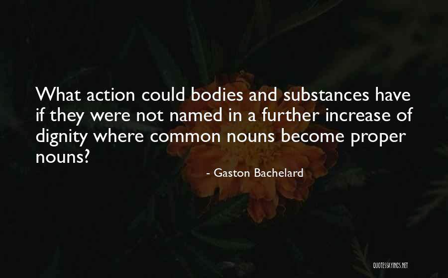 Nouns In Quotes By Gaston Bachelard Nouns In Quotes By Gaston Bachelard