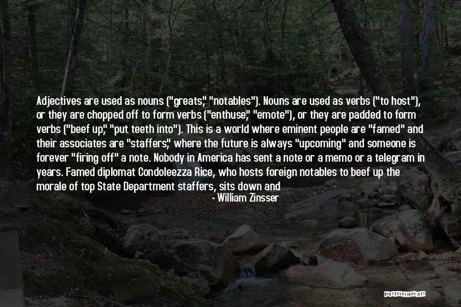 Nouns In Quotes By William Zinsser Nouns In Quotes By William Zinsser