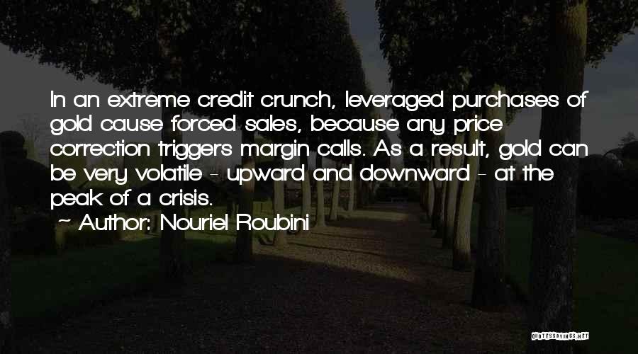 Nouriel Roubini Quotes 1031165