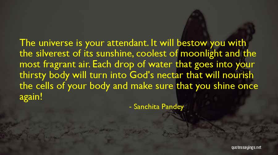 Nourish The Body Quotes By Sanchita Pandey Nourish The Body Quotes By Sanchita Pandey