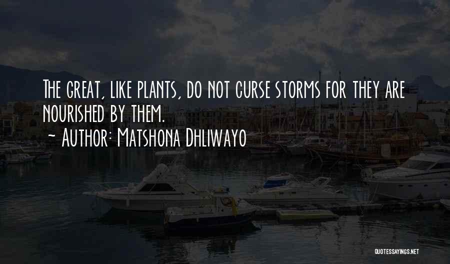Nourished Quotes By Matshona Dhliwayo