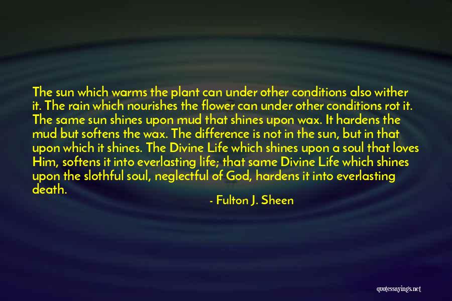 Nourishes Quotes By Fulton J. Sheen Nourishes Quotes By Fulton J. Sheen