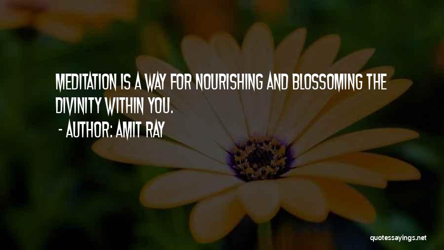 Nourishment For The Soul Quotes By Amit Ray