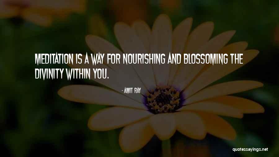 Nourishment For The Soul Quotes By Amit Ray