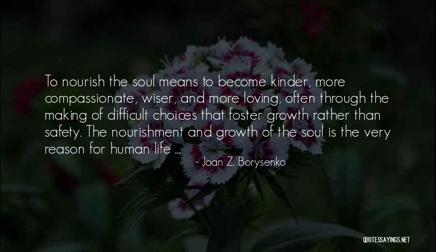 Nourishment For The Soul Quotes By Joan Z. Borysenko