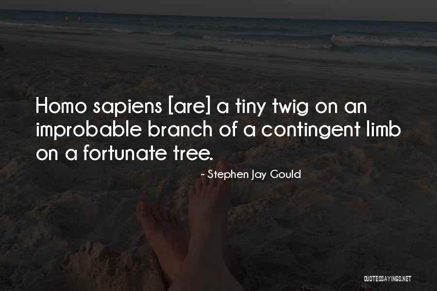 Nourmand Realty Quotes By Stephen Jay Gould Nourmand Realty Quotes By Stephen Jay Gould