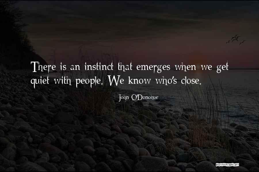 Nouvellon Sarl Quotes By John O'Donohue Nouvellon Sarl Quotes By John O'Donohue