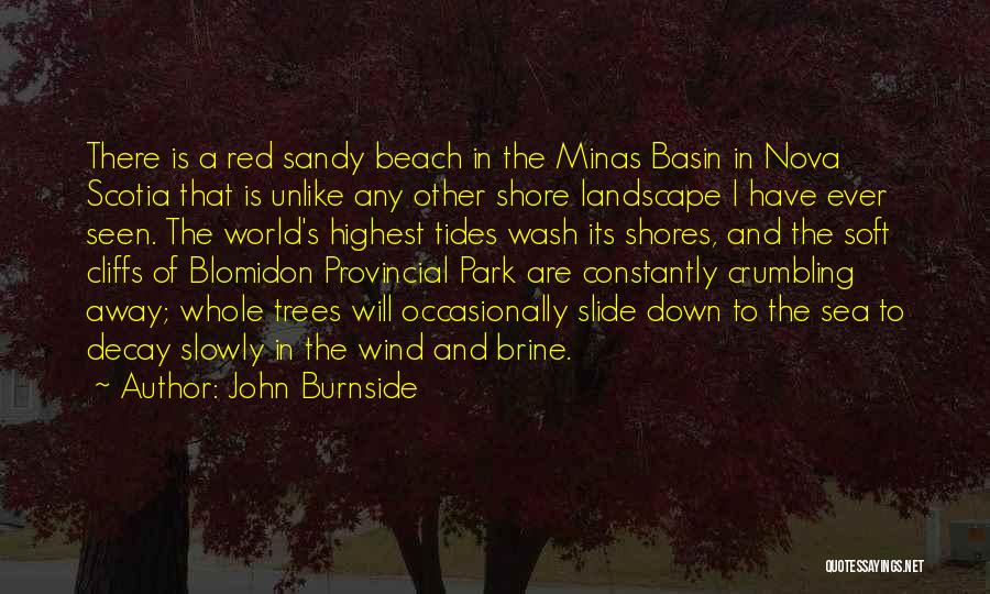 Nova Quotes By John Burnside