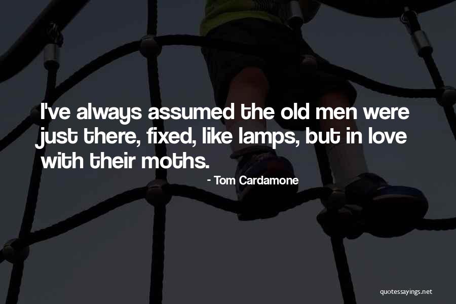 Novacane Shiloh Quotes By Tom Cardamone Novacane Shiloh Quotes By Tom Cardamone
