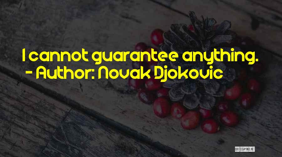 Novak Djokovic Quotes 205891