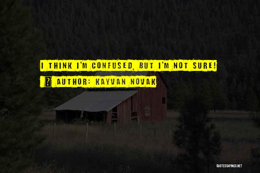 Novak Quotes By Kayvan Novak