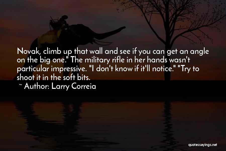 Novak Quotes By Larry Correia