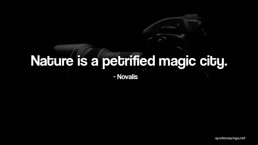 Novalis Quotes 550228