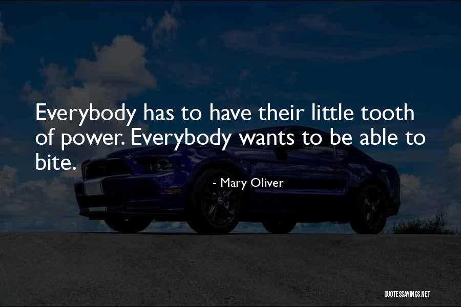 Noveck Pharmacy Quotes By Mary Oliver Noveck Pharmacy Quotes By Mary Oliver