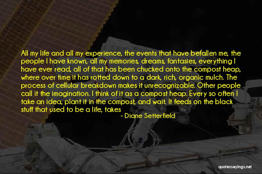 Novel Of The Imagination Quotes By Diane Setterfield Novel Of The Imagination Quotes By Diane Setterfield