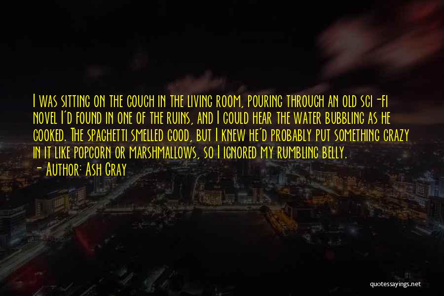 Novel Room Quotes By Ash Gray