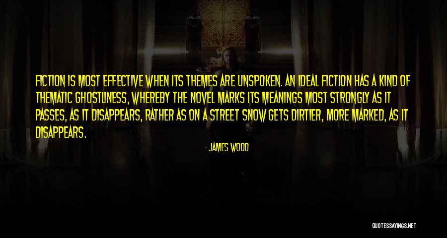 Novel Themes Quotes By James Wood