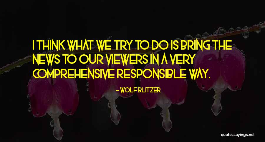 Novelists Noir Quotes By Wolf Blitzer Novelists Noir Quotes By Wolf Blitzer