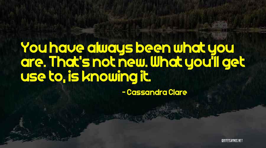 Novella 2000 Quotes By Cassandra Clare Novella 2000 Quotes By Cassandra Clare