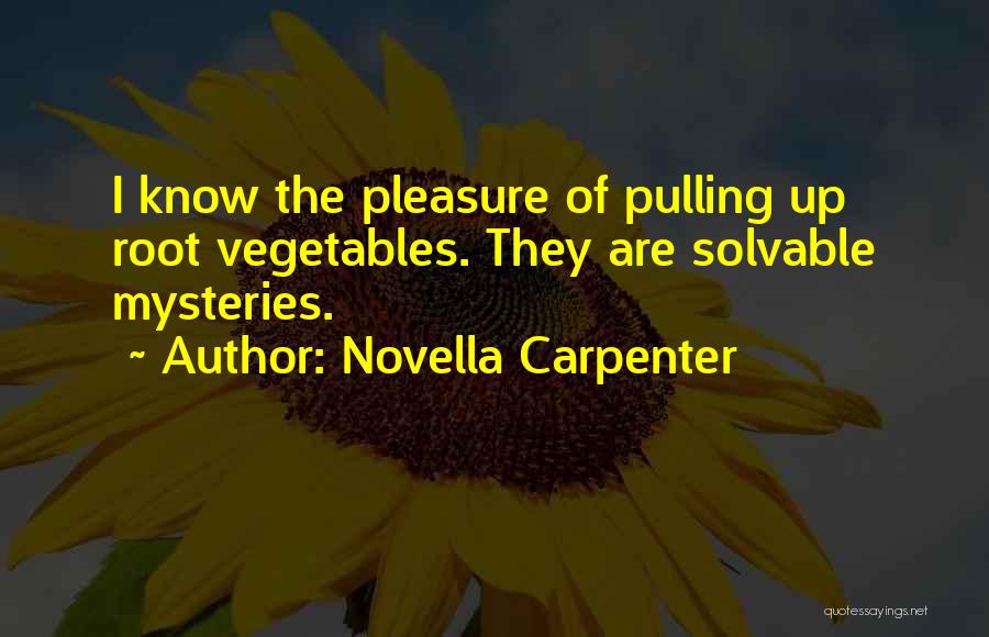 Novella Carpenter Quotes 1419841