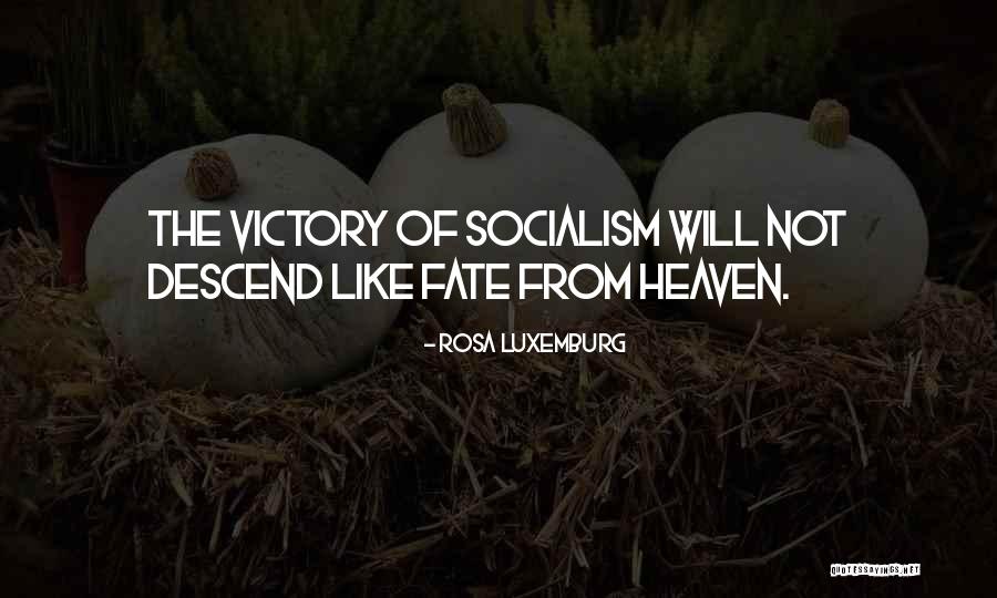 Noveller Fantastic Planet Quotes By Rosa Luxemburg Noveller Fantastic Planet Quotes By Rosa Luxemburg